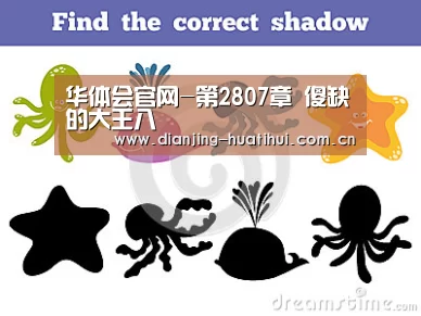 华体会官网-第2807章 傻缺的大王八(图3) 华体会官网