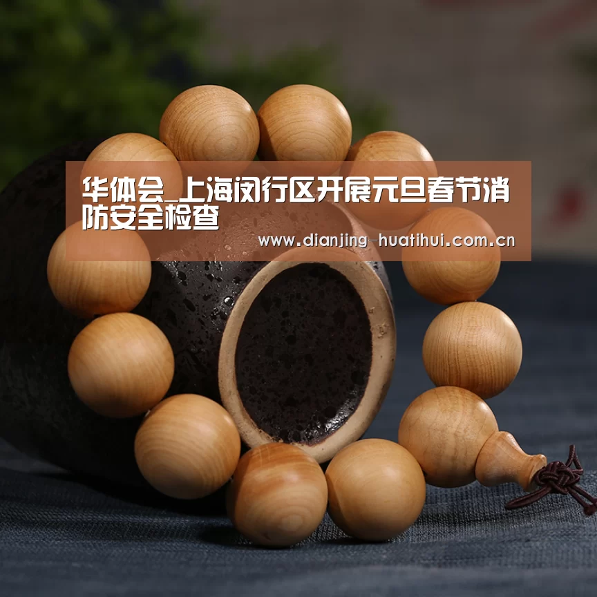 华体会_上海闵行区开展元旦春节消防安全检查(图3) 华体会官网