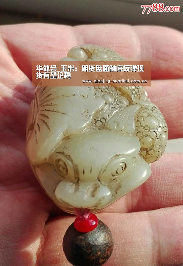 华体会_玉米:期货盘面触底反弹现货有望企稳(图4) 华体会下载