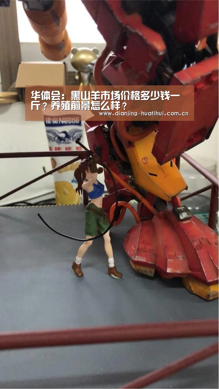华体会